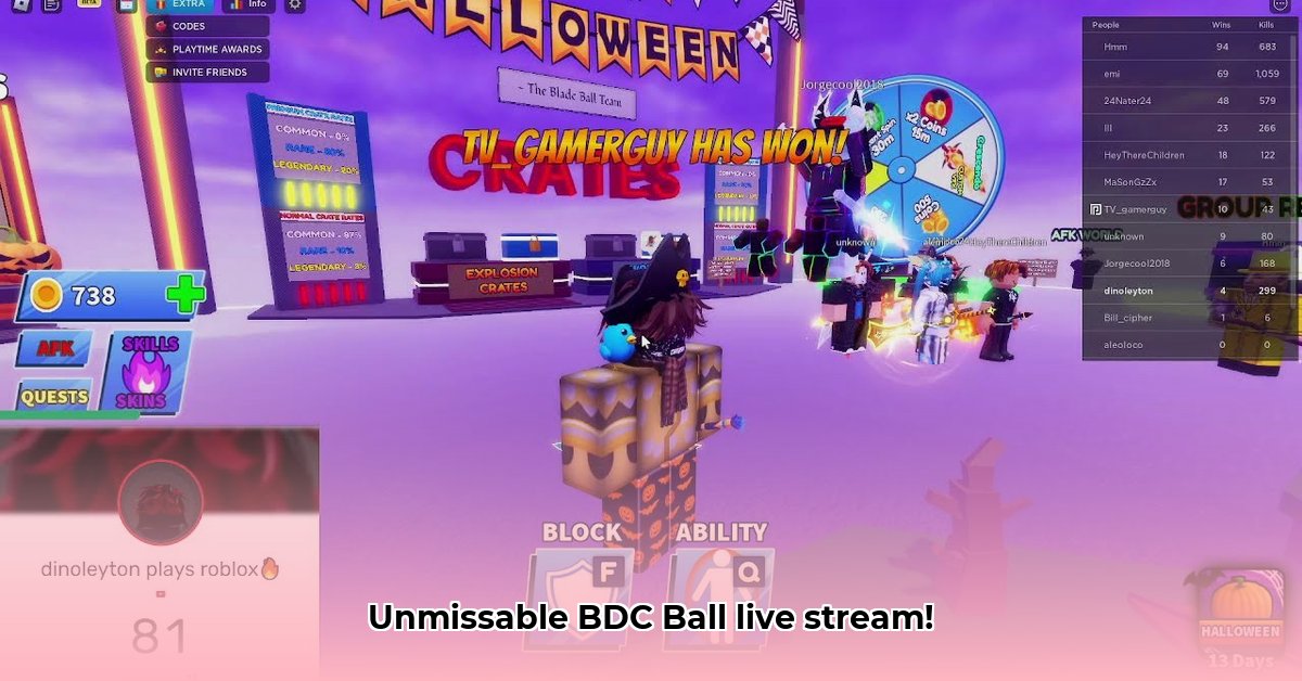 bdc-ball-live-stream
